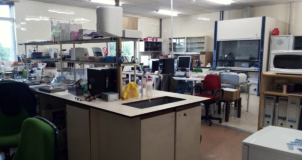 Laboratorio del IUICP (Edificio de Ciencias-Biología)